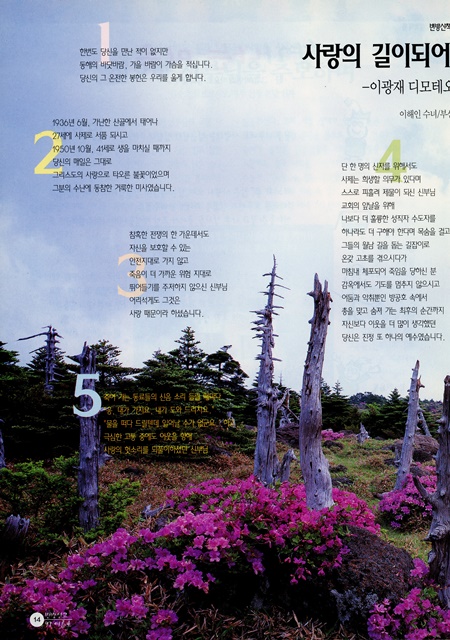 페이지 14