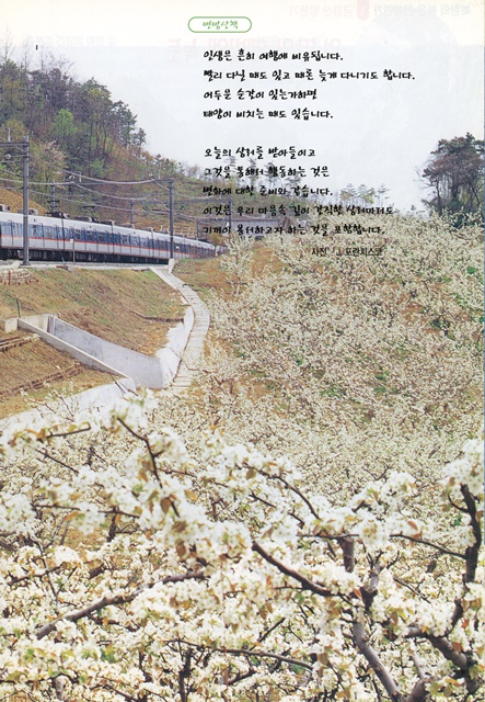 페이지 15