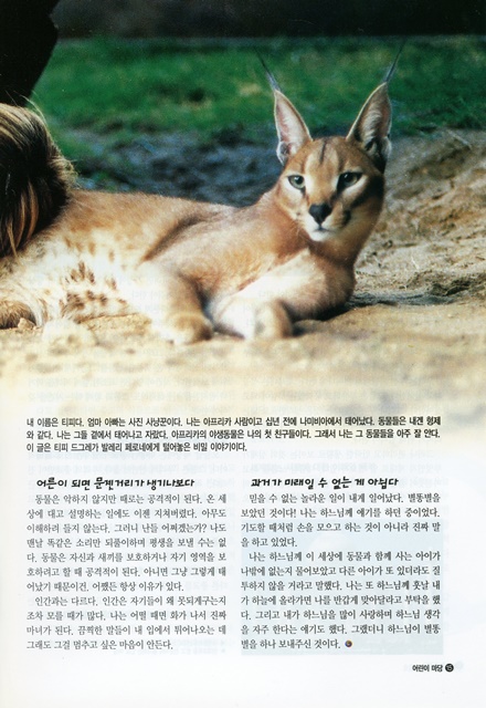 페이지 15