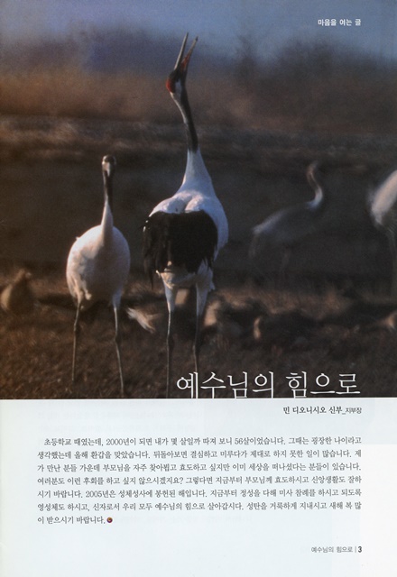 페이지 3
