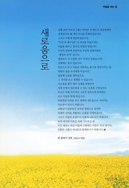 페이지 3
