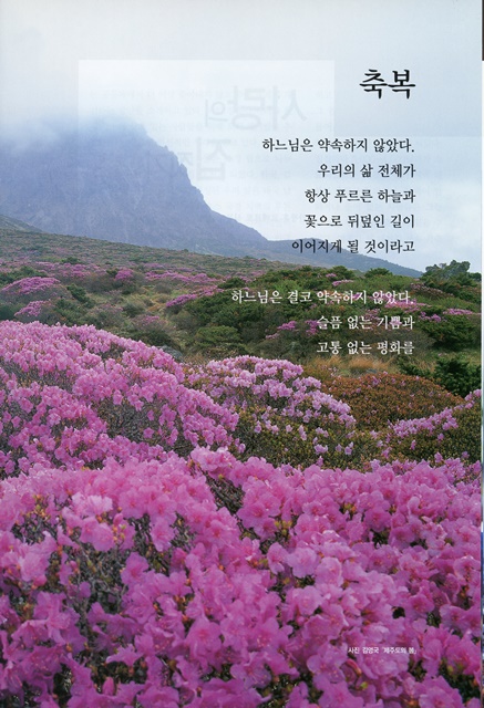 페이지 15