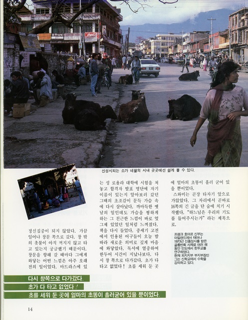 페이지 14